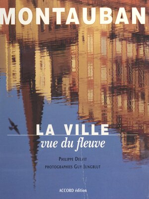 cover image of Montauban, la ville vue du fleuve